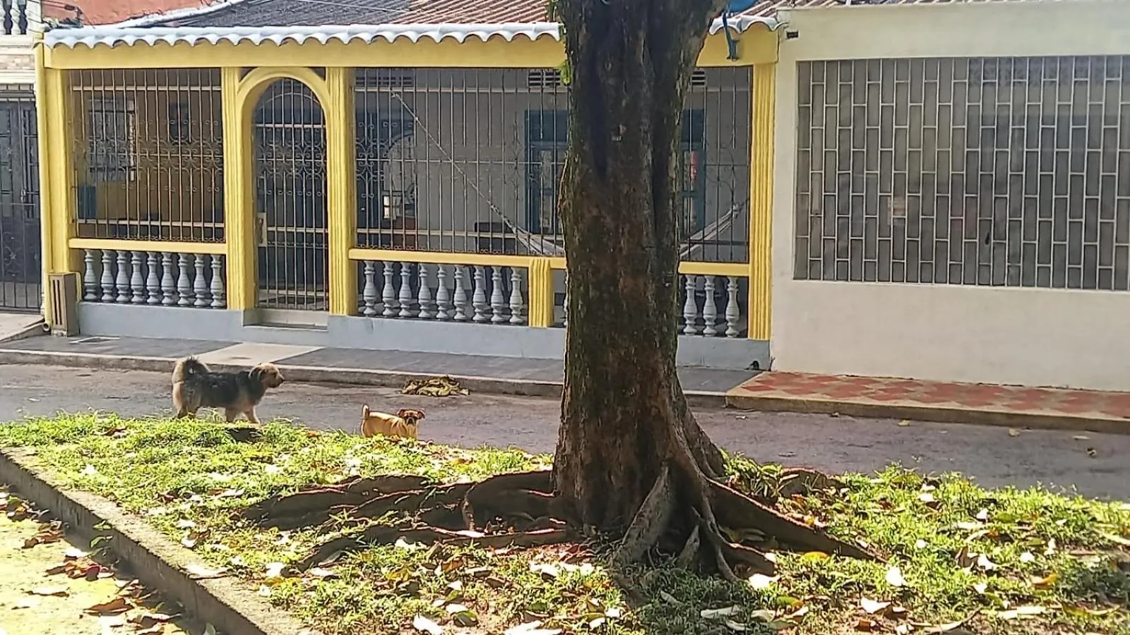 Holiday home Piedemonte Villa Villavicencio Colombia
